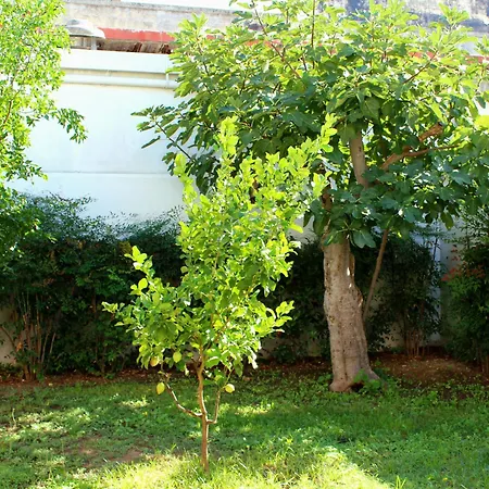 Urban Nest Vakantiehuis Bari