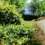 Urban Nest בארי